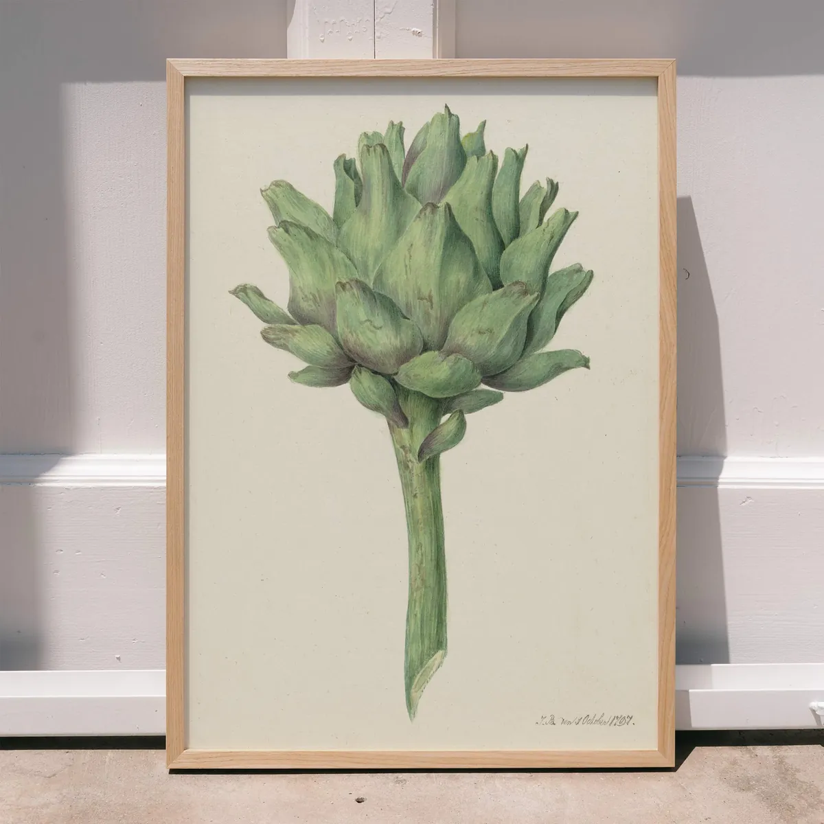Artichoke Botanical Fine Art
