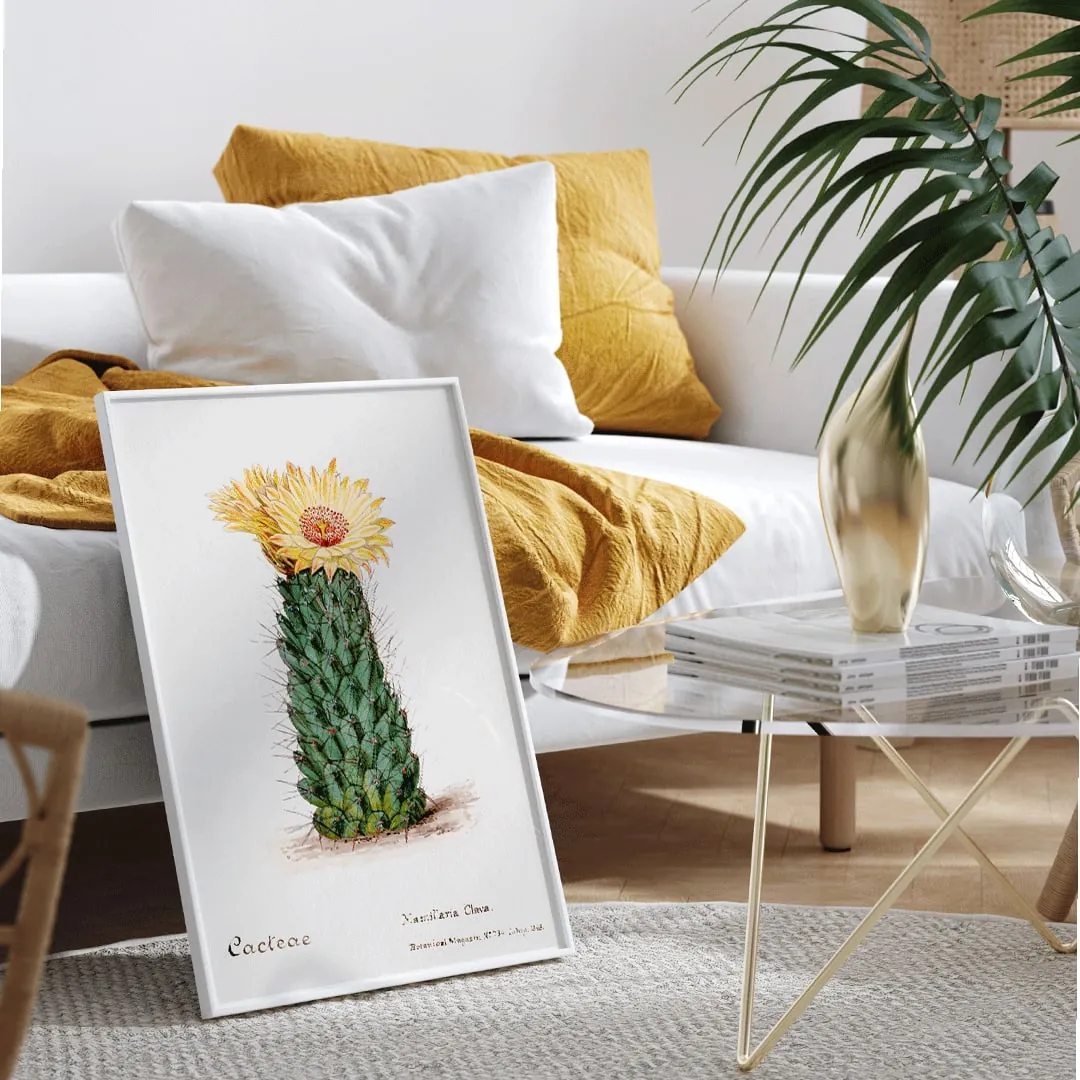 Vintage Botanical Study