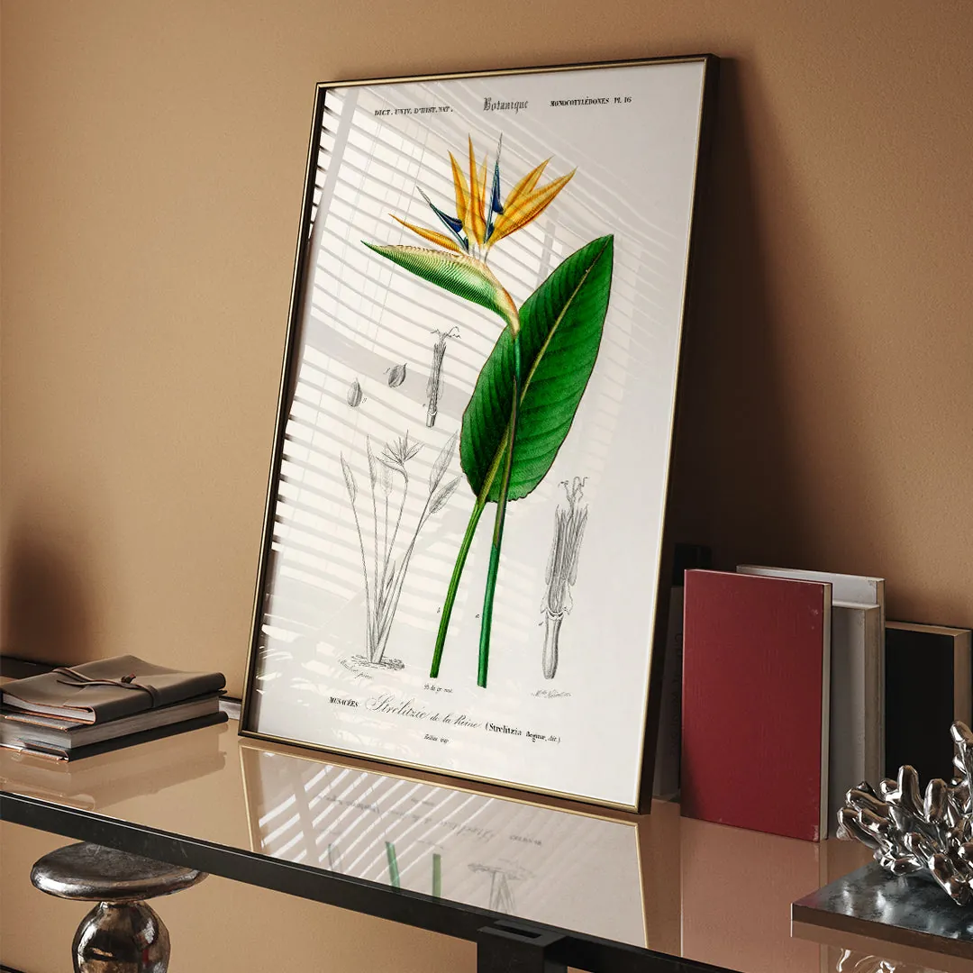 A World of Flowers Lifestyle View