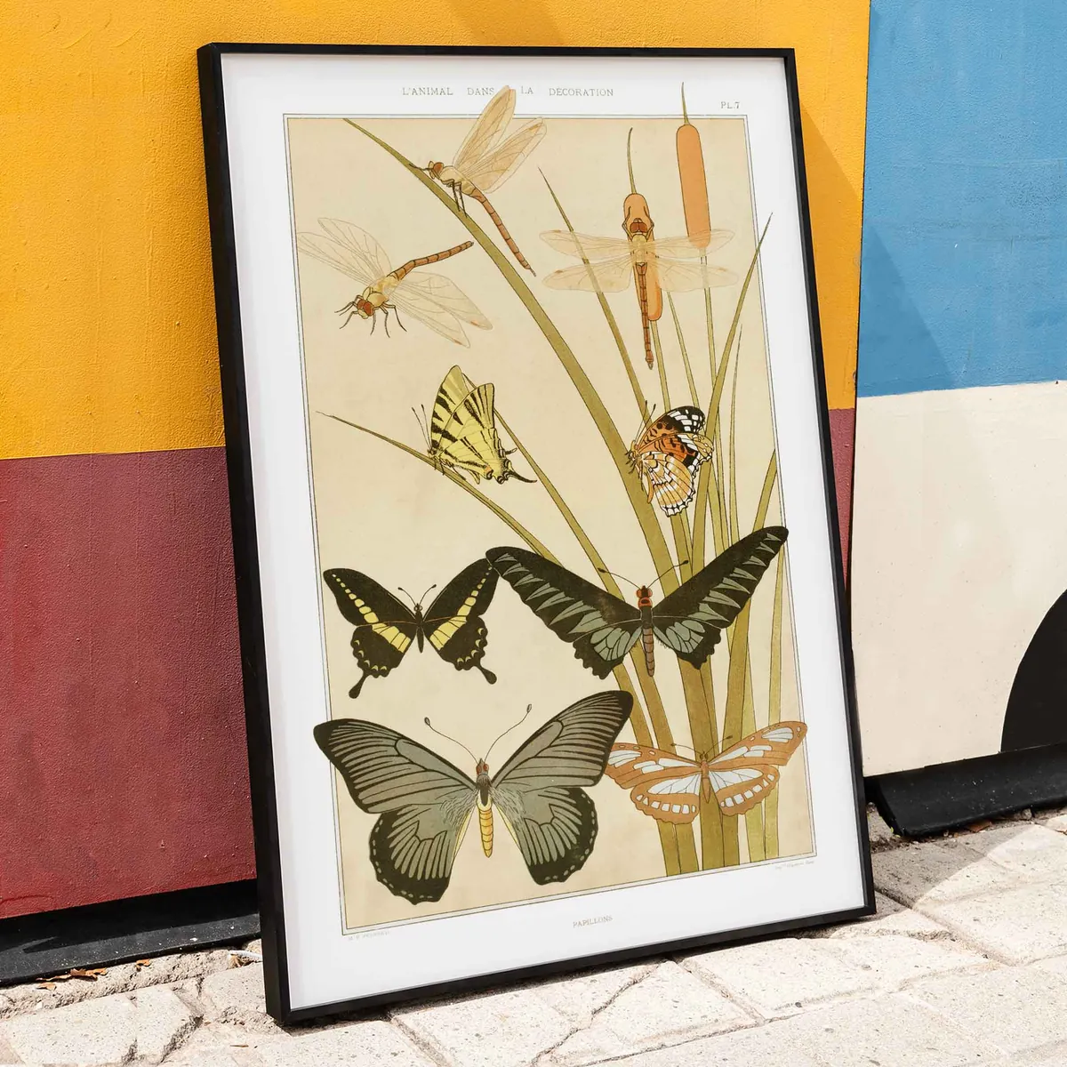 Botanical Specimen Folio Lifestyle View